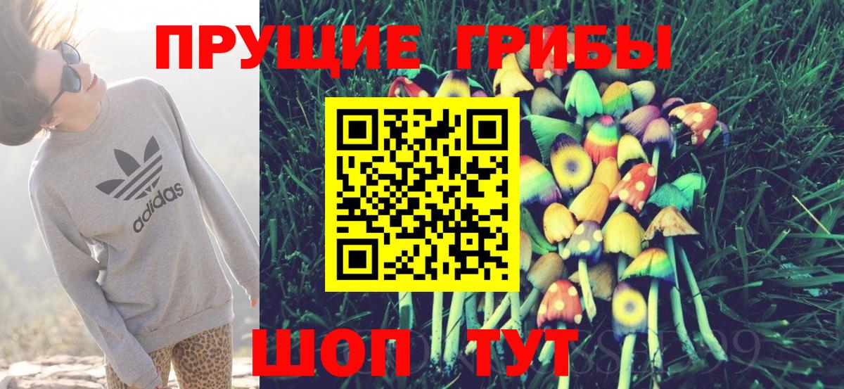 Медногорск  Псилоцибиновые грибы мухоморы  Вход с VPN 