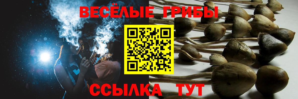 Галлюциногенные грибы MAGIC MUSHROOMS Медногорск